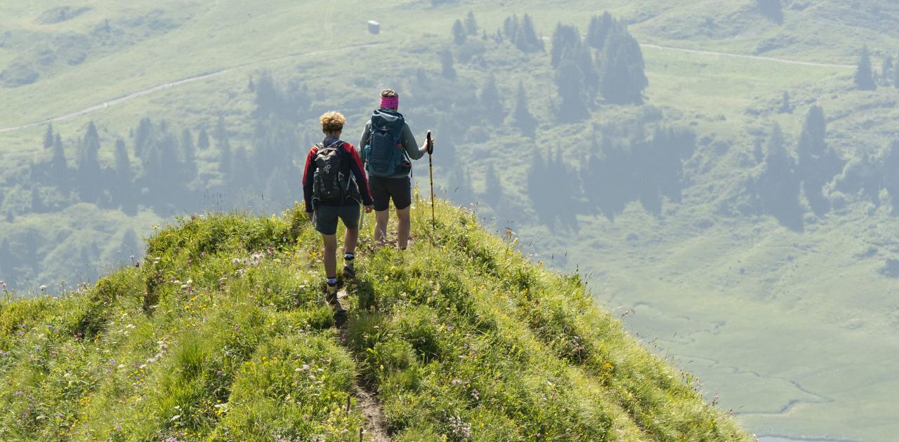 Wandern rund um den Körbersee (c) Johannes Fink